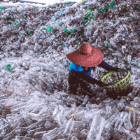 Woman sorting plastic bottles engulfed by mountain of plastic