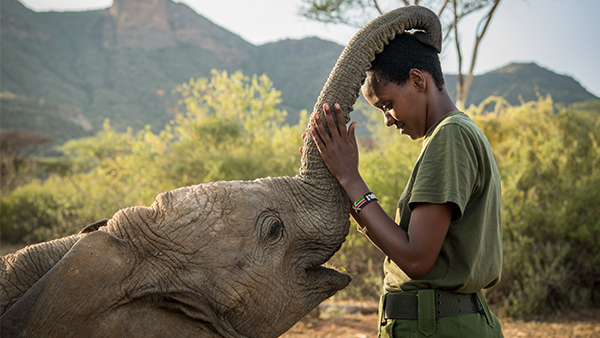 Shaba the Elephant movie still. A baby elephant caresses a young person with their trunk against a South African backdrop of mountains.