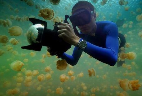 Enric Sala scuba diving with a camera among a school of jellyfish