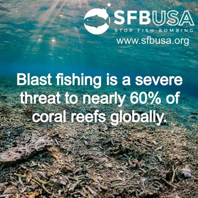 Blast fishing is a severe threat to nearly 60% of coral reefs globally.